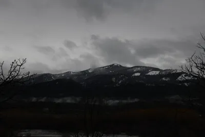 DSC_5876 (Large).JPG